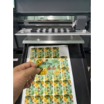 In bế tem nhãn theo yêu cầu 