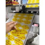 In bế tem nhãn lấy trong ngày