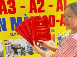 bài mạ nhũ vàng lấy liền mới làm xanh báo chuẩn bao rẻ nhé cả nhà