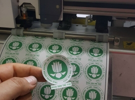 in bế tem nhãn đơn lấy liền tại minh ngọc