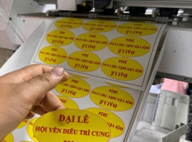 In bế tem nhãn lấy trong ngày