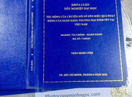 Dịch Vụ Chuyên Làm Bìa Mạ Vàng Chuyên Ngành Tài Chính – Ngân Hàng