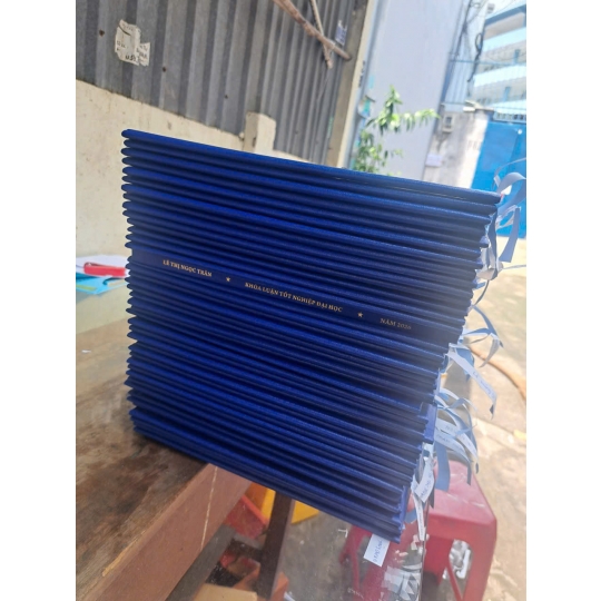 In Bìa Mạ Vàng Luận Văn, Đóng Bìa Cứng Mạ Nhũ Vàng Giá Rẻ