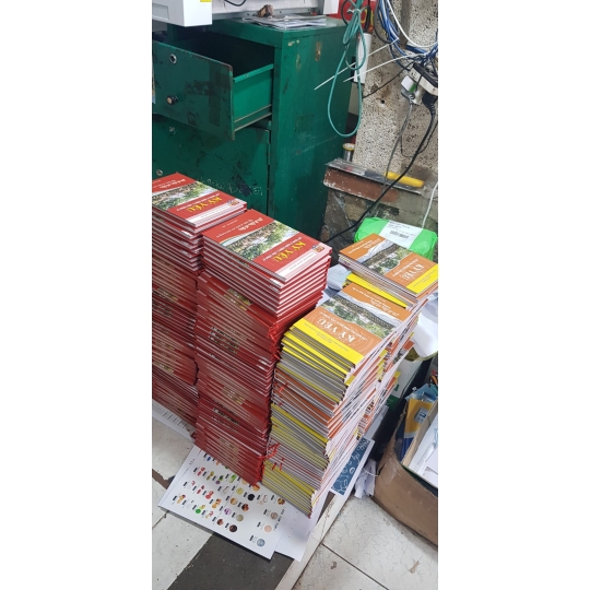 In màu giá rẻ - Sắc nét như thật