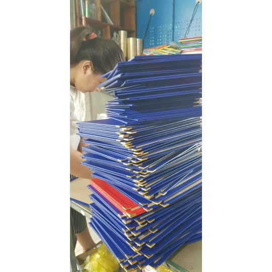 ĐÓNG BÌA NHŨ MẠ VÀNG – PHOTOCOPY MINH NGỌC CHUYÊN DÀNH CHO SINH VIÊN TẠI THỦ ĐỨC 