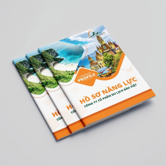 In Hồ Sơ Năng Lực Theo Yêu Cầu