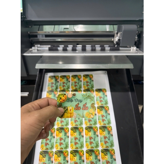 In bế tem nhãn tròn cao cấp 