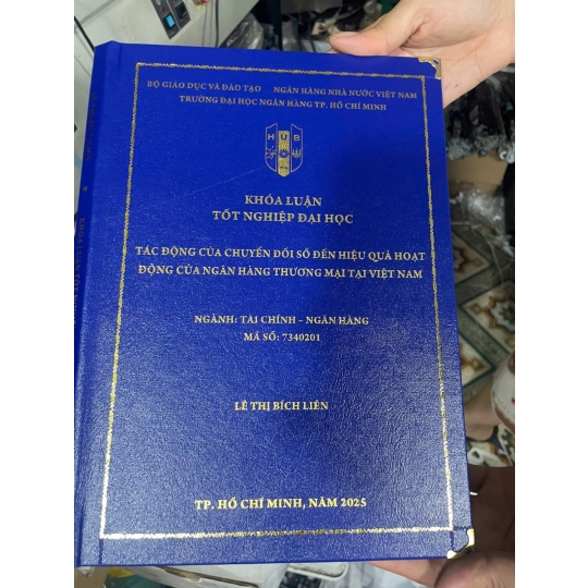 Bìa Mạ Nhũ Vàng Khóa Luận Tốt Nghiệp Đại Học Ngành Tài Chính Ngân Hàng