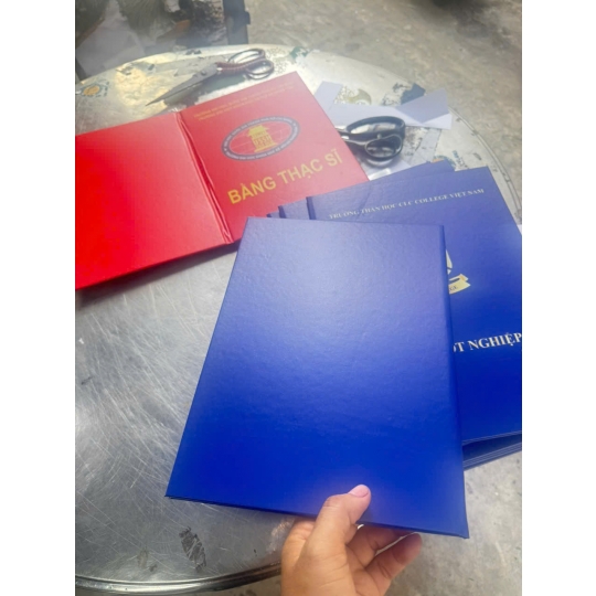 KINH NGHIỆM ĐÓNG BÌA MẠ VÀNG KHÓA LUẬN KHÔNG BỊ TRẢ BÀI