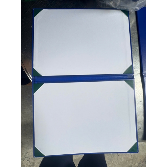 GIA CÔNG MẪU BÌA NHŨ MẠ VÀNG CHO LUẬN VĂN THẠC SĨ NGÀNH CÔNG NGHỆ THỰC PHẨM