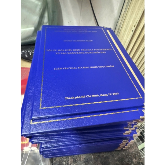 GIA CÔNG MẪU BÌA NHŨ MẠ VÀNG CHO LUẬN VĂN THẠC SĨ NGÀNH CÔNG NGHỆ THỰC PHẨM